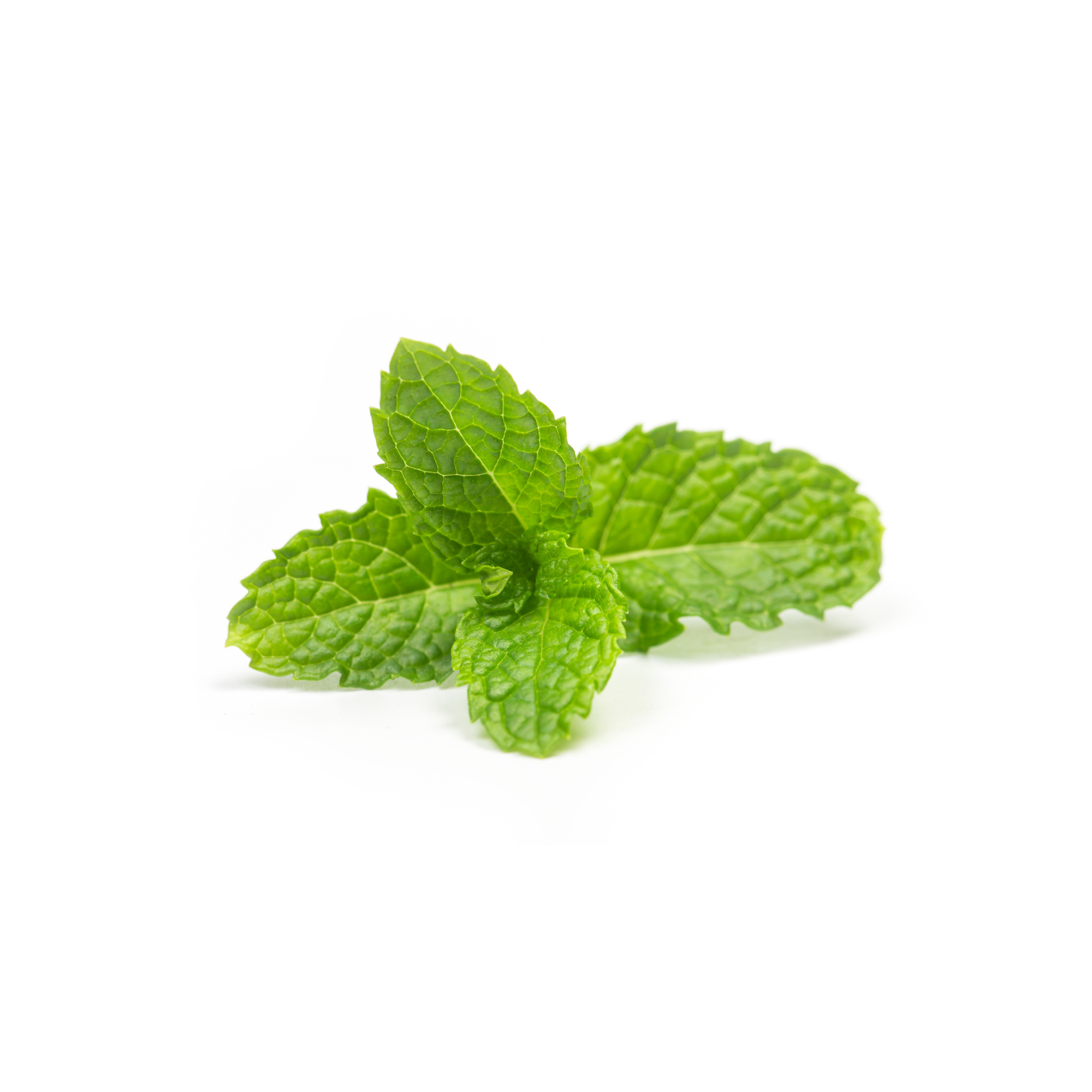 Menthol, the cooling ingredient in Cold Cream